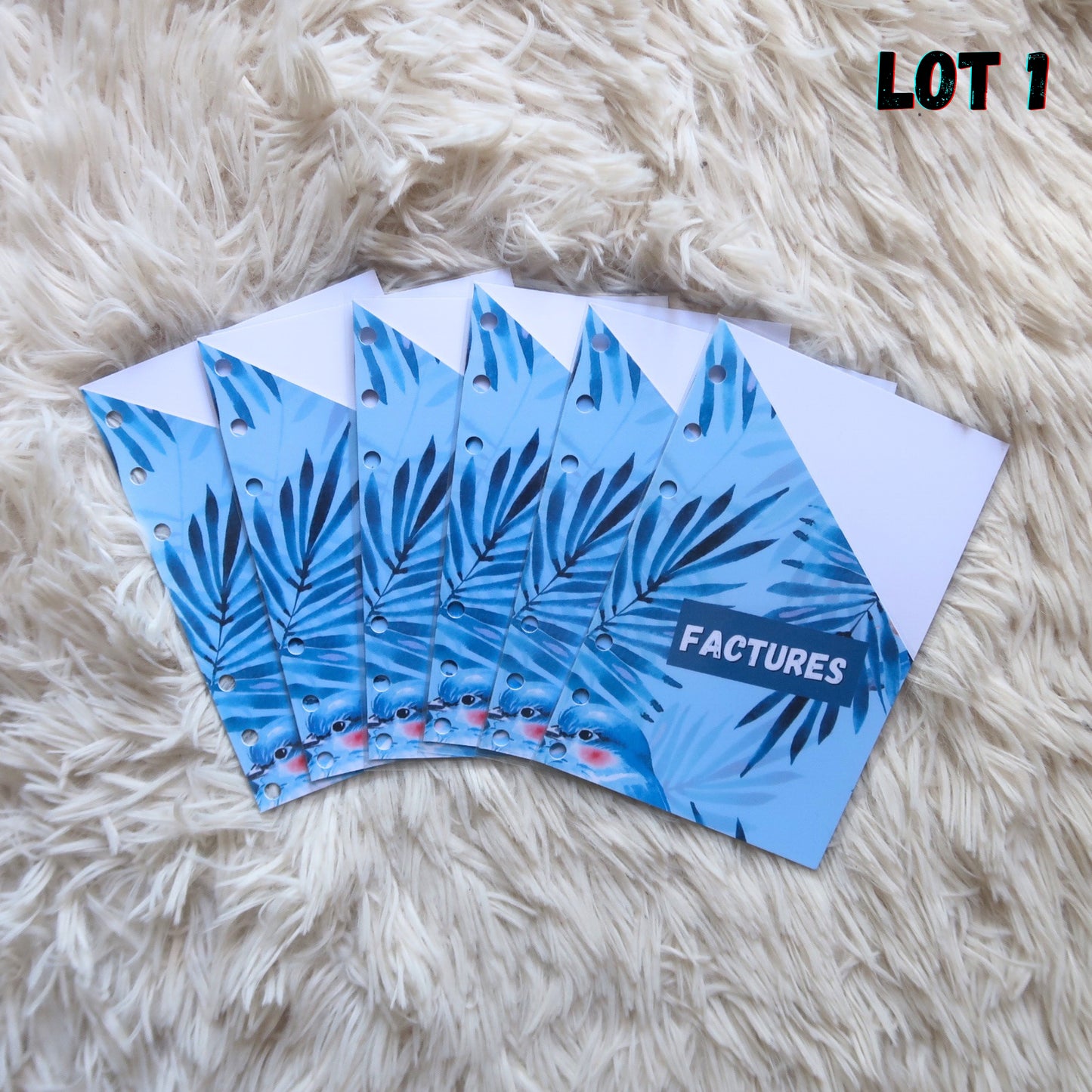 Classeur budget + 6 enveloppes format A6