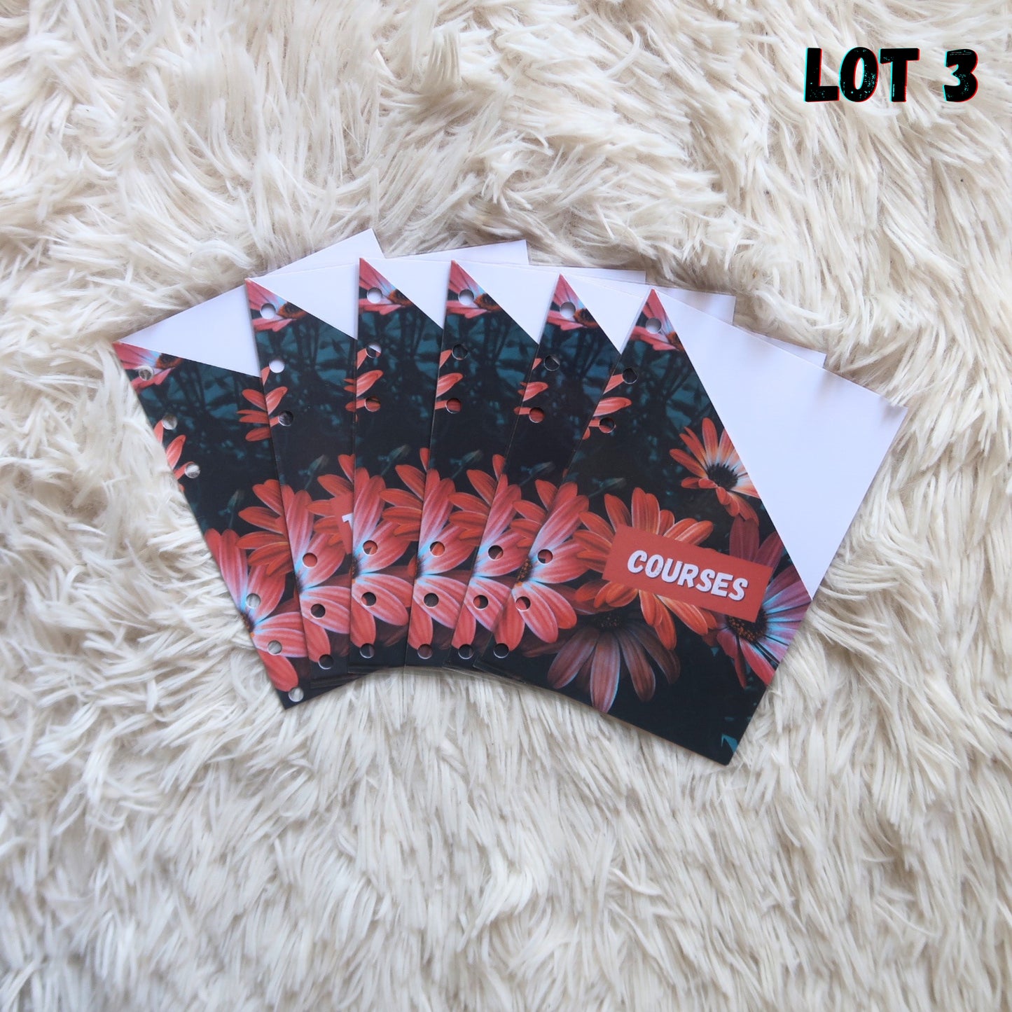 Pack débutant special Noël / Édition limitée