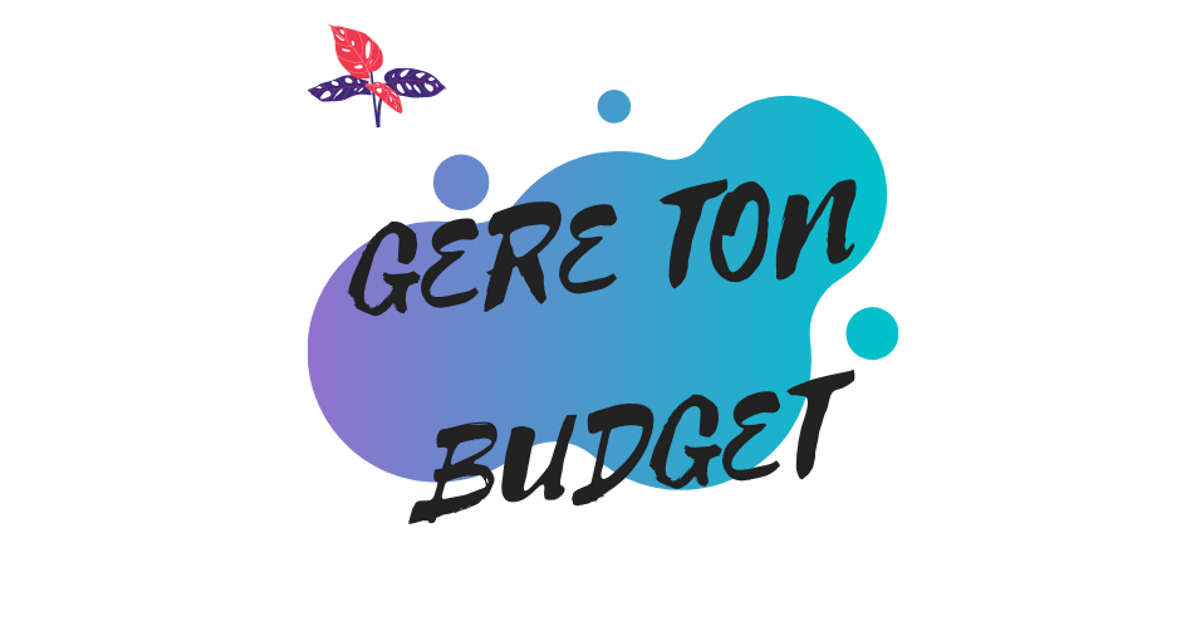 Budget planner : 15 trackers + 20 pages de conseils budget – GereTonBudget