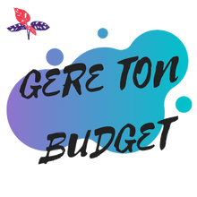 GereTonBudget