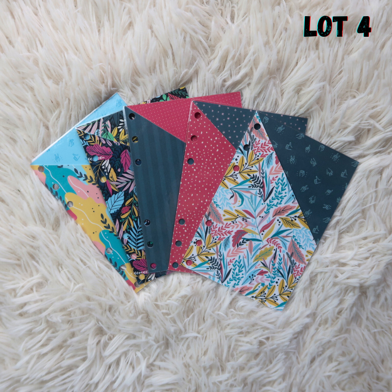 Lots de 5 enveloppes budget