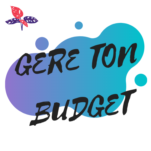GereTonBudget