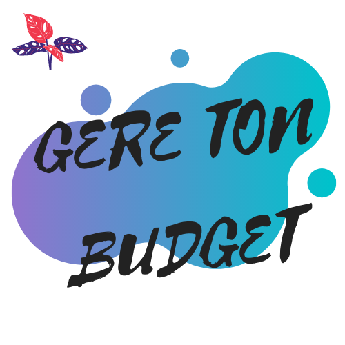 Classeur Budget Francais, Enveloppe Budget Francais 33Pcs Classeur